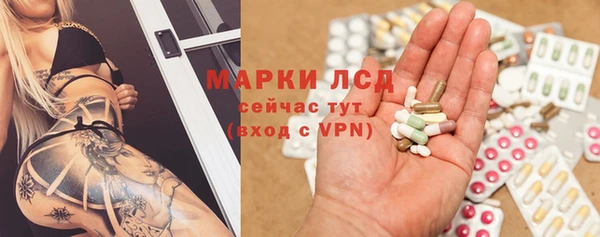 мяу мяу мука Елабуга