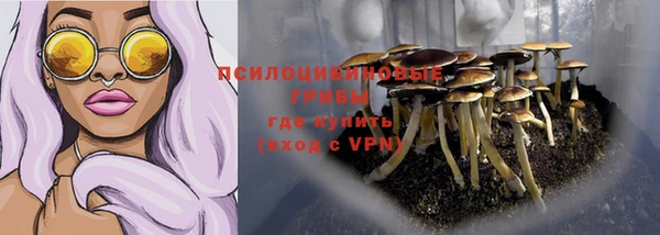 марки lsd Ельня
