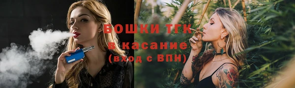 мяу мяу мука Елабуга