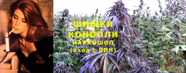прущая мука Дмитриев