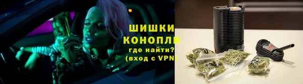 мяу мяу мука Елабуга