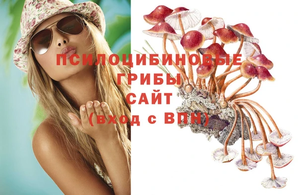марки lsd Ельня