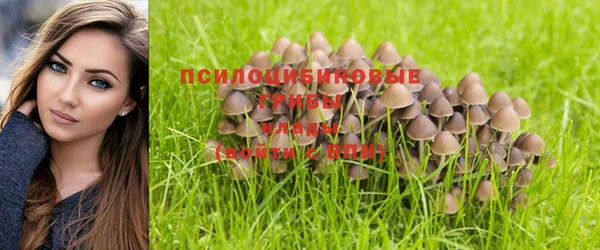 мяу мяу мука Елабуга
