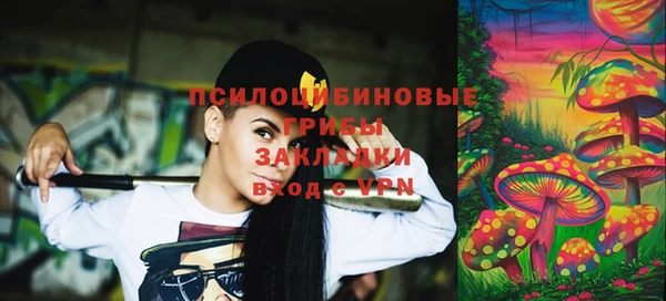 марки lsd Ельня