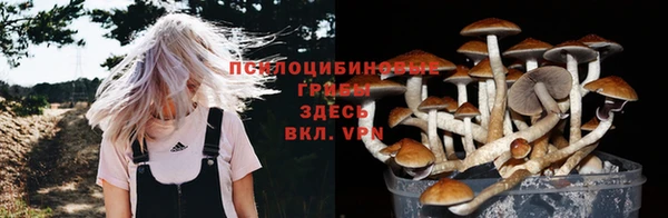 мяу мяу мука Елабуга