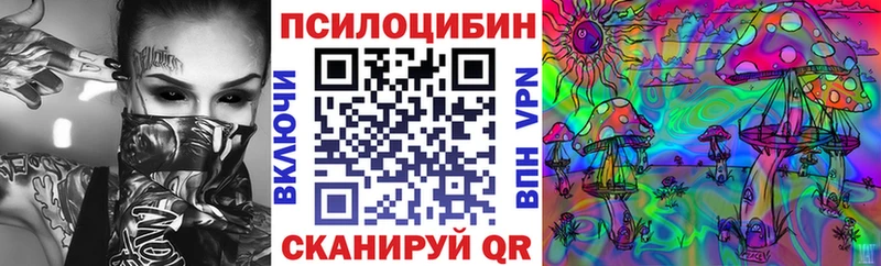 Галлюциногенные грибы мицелий  Гремячинск 